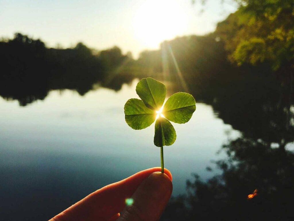 Tauschen Sie sich mit unseren diskreten Mitarbeitern aus und reden Sie sich Ihre Sorgen von der Seele, für mehr Leichtigkeit im Leben. Auf dem Bild ist ein Symbol von Glück abgebildet, ein vierblättriges Kleeblatt.